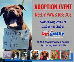 Find local pets available for adoption, stl pet events and pet news from the st. Dog Adoption Events St Louis