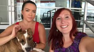 Thank you for your interest in adopting a grateful dog! List Of Places Participating In Clear The Shelters
