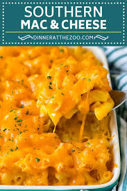 Begin to layer in the pasta. Southern Mac And Cheese Dinner At The Zoo