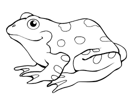 57 Desenhos De Sapos Para Imprimir E Pintar Em Casa