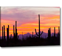 I like to use the holbein gouache paint. Union Rustic Az Sonoran Desert Saguaro Cactus At Sunset Graphic Art Print On Wrapped Canvas Reviews Wayfair