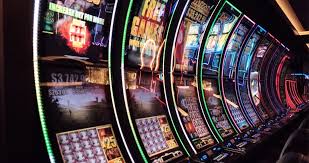 Within this series, have offered over 300 distinctive trivia questions. Gambling Trivia The Most Interesting Gaming Facts In One Place