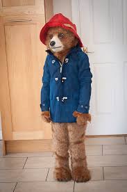 One of the iconic things about paddington bear is not just his ability to talk or his adventures, but also the outfit that he wears. The Rpf On Twitter Paddington Bear Costume Made By David Cullen For His Daughter Paddington Kidscosplay Costume Craftyourfandom