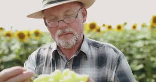 Happy Farmer Stock Videos