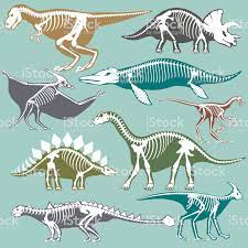 Dinosaurs Skeletons Silhouettes Set Fossil Bone Tyrannosaurus Animal Skeletons Fossil Bones Dinosaur Silhouette
