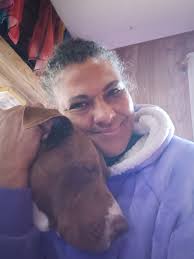 Stray dog found at Cefco in Milano, possibly pregnant and hungry