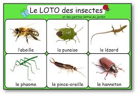 Le Loto Des Insectes Et Des Petites Betes Du Jardin Loto Insectes A Imprimer Le Loto Insectes Loto