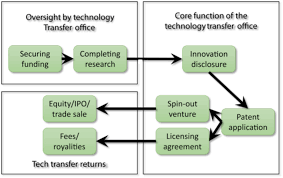Technology Transfer Offices Roles In Innovation Transfer B Examples Download Scientific Diagram