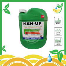 What does racun rumpai mean in english? Ken Up 20l Herbicide Racun Rumpai Racun Lalang Racun Rumpai Serapan Shopee Malaysia
