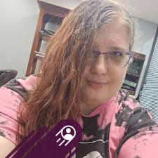 Plastic totes with lids for cheap recommendations?