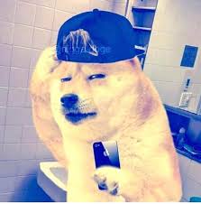 According to dictionary.com doge refers to an internet meme that pairs pictures of shiba inu dogs, particularly one named kabosu, with captions depicting the dog's internal monologue.. D Y N A M I T E On Twitter Doge Meme Templates 1 13