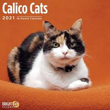 Calico Cats 2021 Calendar 2021 Calico Cats Calendar The Word Calico Doesn T Actually Refer To A Breed Of Cat But Rather A Col In 2020 Calico Cat Cat Calendar Cats