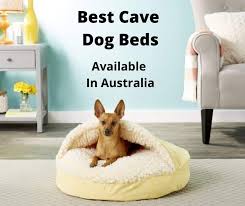 Review10best compares the best elevated dog bed in australia and selects the one by pet promenade as the best dog bed.in a elevated dog bed buying guide, you can read more about the features of the different dog beds and see a recommendation on which elevated dog bed. 5 Best Cave Dog Bed Options Australia 2021 Buyers Guide Gentledogtrainers Com Au