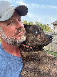 Today my Brithday nobody wish me yet🎂🎉🥰🌺