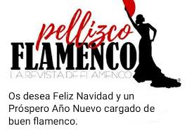 Pellizco Flamenco os desea Feliz Navidad y Própero Año con estos  villancicos – Revista Pellizco Flamenco