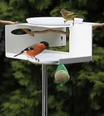 Bird Bath And Feeder Uk Unique Bird Feeders For All Beaked Buddies Unique Bird Baths Unique Bird Houses Bird Feeders