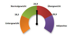 Wie man ihn berechnet, was er aussagt und wo seine grenzen liegen. Bmi Bodymasindex Berechnen