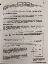 Dihybrid crosses — definition & examples. Solved Mendelian Genetics Exercise D Mendel S Dihybrid C Chegg Com