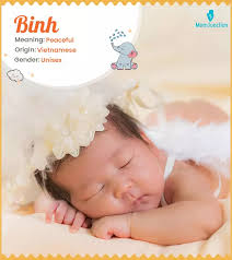 Binh Name, Meaning, Origin, History, And Popularity