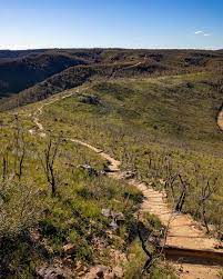 Po box 200546 helena mt 59620. Mount Banks One Of The Quietest Peaks In The Blue Mountains Walk My World