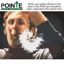 Post falls has a history in timber. Pointe Pest Control Home Facebook