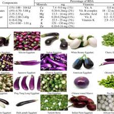 Put in a clean pot with clean water. Pdf Nutritional Content And Health Benefits Of Eggplant