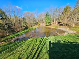 Image result for Kampochloa