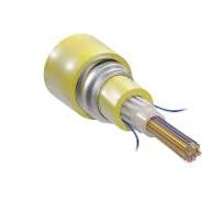 Freeform Ribbon™ Armored Indoor Riser Central Tube Cables | SEL