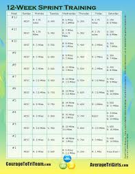 12 Week Sprint 7 Pdf Triathlon Training Schedule Training Schedule Sprint Triathlon Training Plan