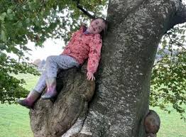 Applications for our December 2024...