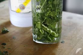 mary-tinis with infused cilantro & jalapeño vodka