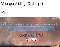 It is a feeling that reminds us of the innocence of childhood and all its endless pleasures. Younger Sibling Grabs Pet Pet Survive Love Memes Funny Love Memes Funny Memes