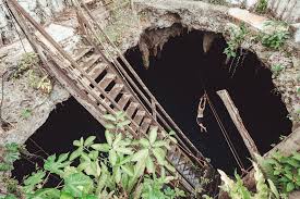 The gran cenote tulum or grand cenote is one of the most famous and most visited cenotes on the riviera maya in mexico. Best Cenotes Near Cancun Ruta De Los Cenotes Why We Seek