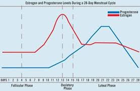 Ovulation Chart Ksirahsirah