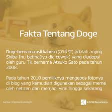 Changes in the value of 1080 dogecoin in us dollar. Kaori Nusantara On Twitter Siapa Yang Masih Ingat Dengan Anjing Shiba Inu Satu Ini Bila Penasaran Dengan Kabarnya Lebih Lengkap Bisa Mengunjungi Kabosumama Dog Shibainu Doge Meme Https T Co Cqqgrav7lm