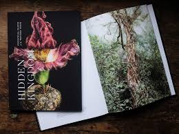 Each one of us was given a part of the books to give a fake cover, my own was book three part one, the hidden kingdom: Hidden Kingdom A World Of Fantastic Plants I Roundglass I Sustain