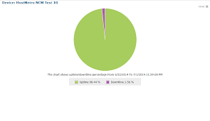 Screenshot Of Hostmetro Uptime Downtime Test Results Pie