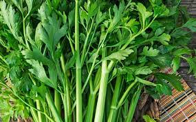 Daun sup sering digunakan hanya dalam sup sahaja. 4 Manfaat Daun Seledri Untuk Kesehatan Okezone Lifestyle