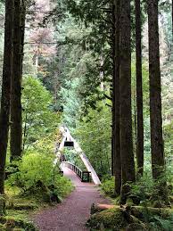 $$$$, 20 sites, rvs only, all ages, no tent, 626 ft elev, fu…. Middle Fork Campground Near North Bend Wa Snoqualmie Mt Baker Great Hikes But There Are Bears Be Prepared This Bridge Is Near The Day Use Picnic Area Neat Suspension Design Campground Is One