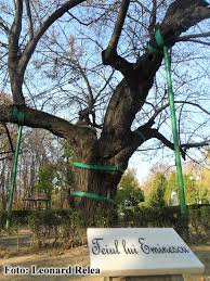 Acest articol se referă la poet. Teiul Lui Eminescu Povestea Unei RenaÈ™teri