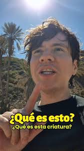 Erik Murillo's Video