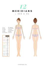 Top 12 Heavenly Star Acupoints You Need To Know Kanpobliss Blog Meridian Acupuncture Acupuncture Points Acupuncture
