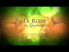 La Rosa De Guadalupe Competencia De Amor 2 2 Youtube Rosa De Guadalupe Guadalupe Peliculas En Netflix