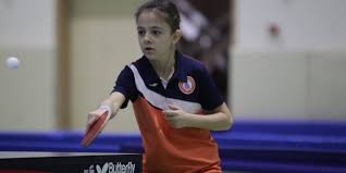 Turkiye Masa Tenisi Federasyonu