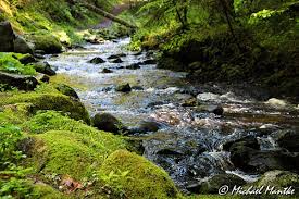 Die ravennaschlucht ist besonders, wenn man wandern möchten und lust hat was zu erleben. Ravennaschlucht Schwarzwald Pur Erkunde Die Welt