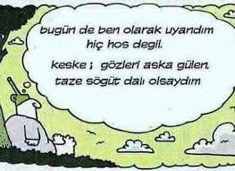 Kalb M Siyahi Twitter Sayfasindan Medya Tweetleri I Am Awesome Funny Comics