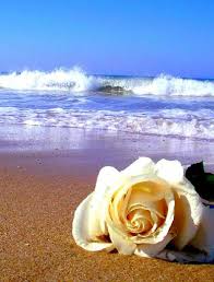 Prestwick is a premier gated community featuring the pete d. Weddings In Myrtle Beach Beach Occasions Packages From 199