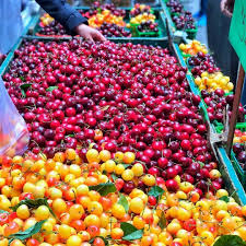 543 Aprecieri 10 Comentarii Fruits Food Fruits Food Pe Instagram Delicious Cherries Repost Steve Daily Health Tips Fruit Recipes Health Tips