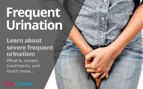 Pin By Kristen K On Fitness And Health Frequent Urination Urge Incontinence Hormone Imbalance Symptoms