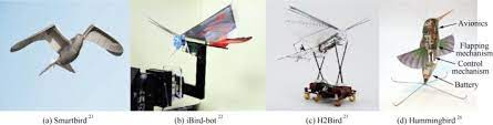 Be careful as batbot chases after sonic with his deadly lightbulb! Robot Ornithopter Batbot Proposed Control For Wing Movement Type Flat Plate For Ornithopter Autonomous Robot Springerlink What Student Will Earn From Batbot Edutainment Learing Natividad Ridgway
